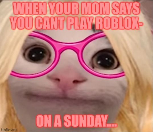 You cant play roblox on a weekand..... :O |  WHEN YOUR MOM SAYS YOU CANT PLAY ROBLOX-; ON A SUNDAY.... | image tagged in bad luck,roblox | made w/ Imgflip meme maker