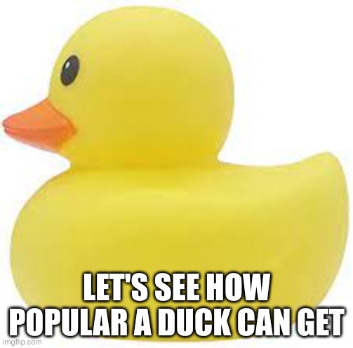 LET'S SEE HOW POPULAR A DUCK CAN GET | image tagged in duck | made w/ Imgflip meme maker