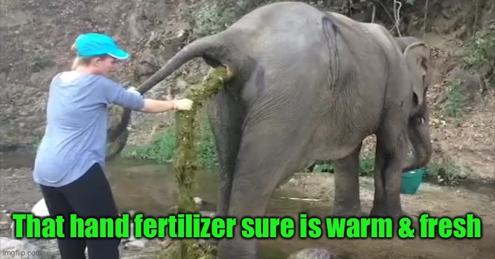 Elephant crap | That hand fertilizer sure is warm & fresh | image tagged in elephant crap | made w/ Imgflip meme maker