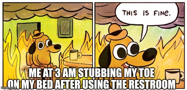 This Is Fine Meme | ME AT 3 AM STUBBING MY TOE ON MY BED AFTER USING THE RESTROOM | image tagged in memes,this is fine | made w/ Imgflip meme maker