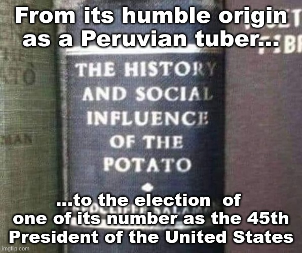The History of the Spud | From its humble origin as a Peruvian tuber... ...to the election  of  one of its number as the 45th President of the United States | image tagged in donald trump,vegetables | made w/ Imgflip meme maker