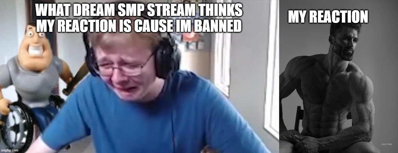 another reason dream stans are dipshits | MY REACTION; WHAT DREAM SMP STREAM THINKS MY REACTION IS CAUSE IM BANNED | image tagged in callmecarson crying next to joe swanson,giga chad | made w/ Imgflip meme maker