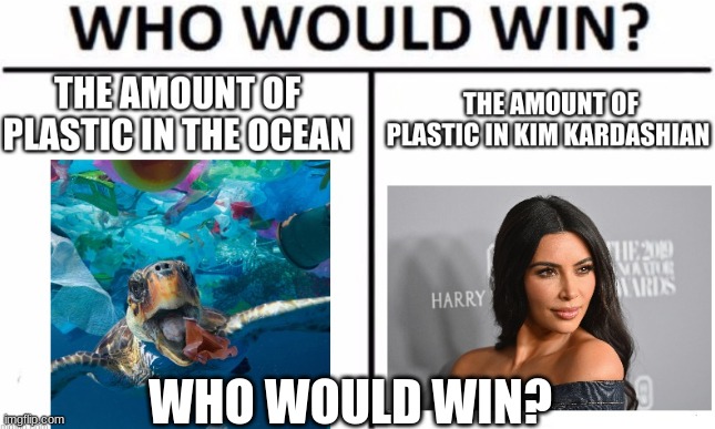 yes who would win? | WHO WOULD WIN? | image tagged in funny,memes | made w/ Imgflip meme maker