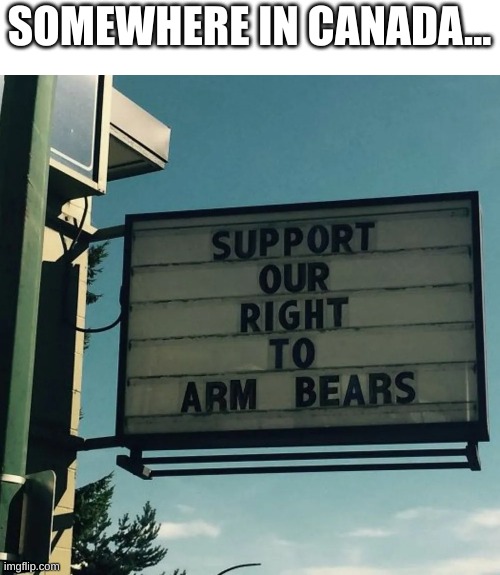canada's great, just avoid bears. | SOMEWHERE IN CANADA... | image tagged in meanwhile in canada | made w/ Imgflip meme maker