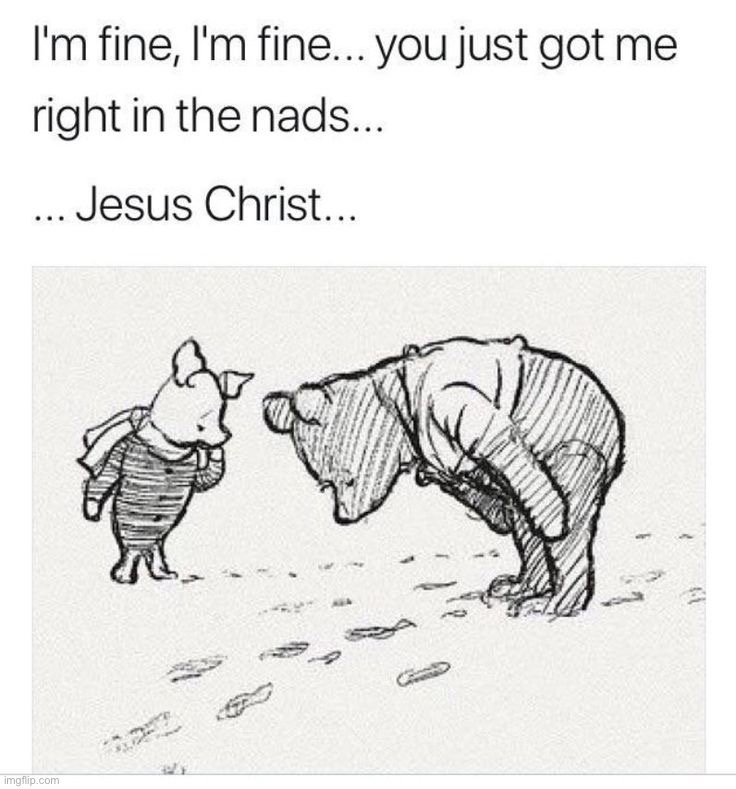 Piglet is a bad person | image tagged in memes,funny | made w/ Imgflip meme maker