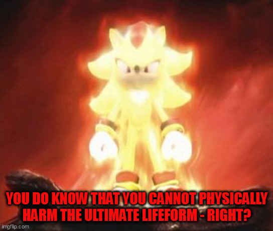 Super Shadow | YOU DO KNOW THAT YOU CANNOT PHYSICALLY HARM THE ULTIMATE LIFEFORM - RIGHT? | image tagged in super shadow | made w/ Imgflip meme maker