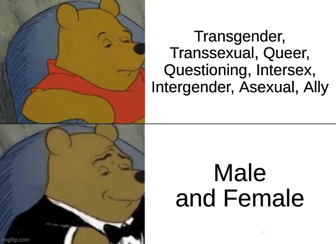 boohoo cry about ti | Transgender, Transsexual, Queer, Questioning, Intersex, Intergender, Asexual, Ally; Male and Female | image tagged in memes,tuxedo winnie the pooh | made w/ Imgflip meme maker