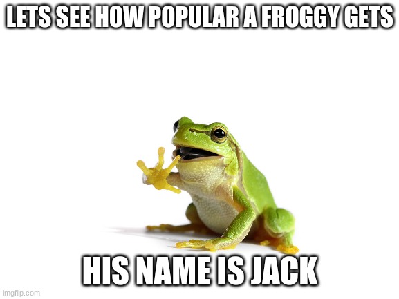 lets see | LETS SEE HOW POPULAR A FROGGY GETS; HIS NAME IS JACK | image tagged in foggy,fun | made w/ Imgflip meme maker