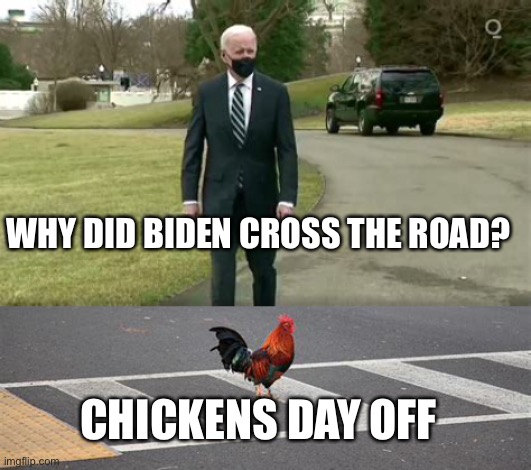 Biden fills in for chicken | WHY DID BIDEN CROSS THE ROAD? CHICKENS DAY OFF | image tagged in biden,losers,democrat,chicken | made w/ Imgflip meme maker