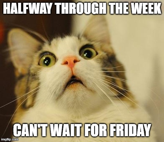 OMG Kitty | HALFWAY THROUGH THE WEEK; CAN'T WAIT FOR FRIDAY | image tagged in omg kitty | made w/ Imgflip meme maker