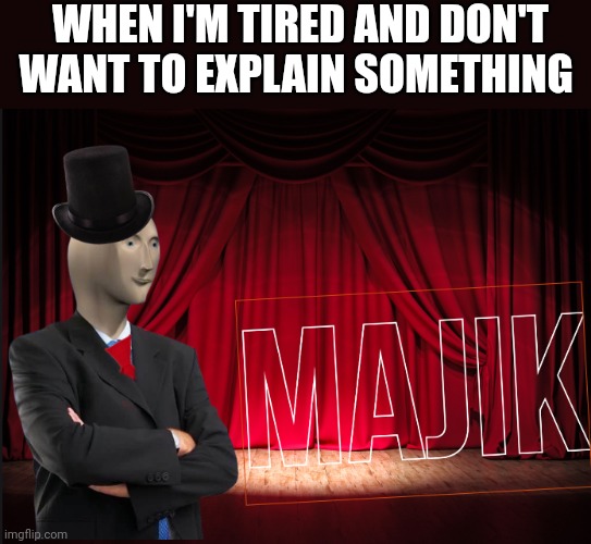 Majik | WHEN I'M TIRED AND DON'T WANT TO EXPLAIN SOMETHING | image tagged in majik | made w/ Imgflip meme maker