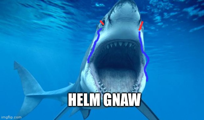 shark open mouth | HELM GNAW | image tagged in shark open mouth | made w/ Imgflip meme maker