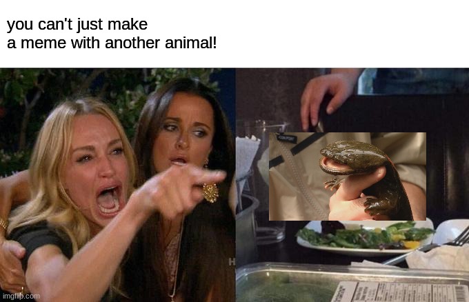 its called a hellbender! | you can't just make a meme with another animal! | image tagged in memes,woman yelling at cat | made w/ Imgflip meme maker