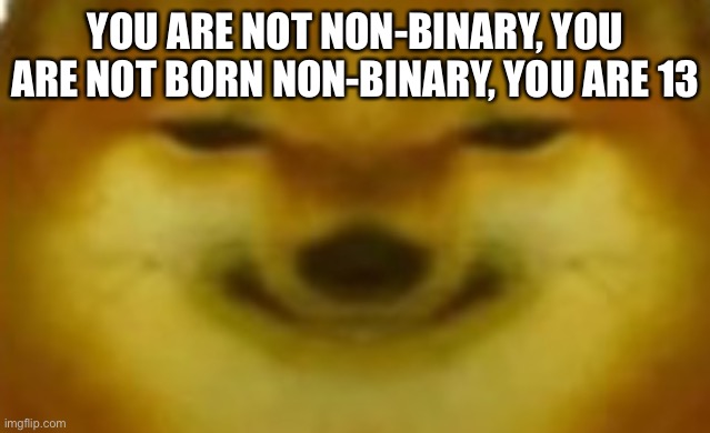 Si | YOU ARE NOT NON-BINARY, YOU ARE NOT BORN NON-BINARY, YOU ARE 13 | image tagged in si | made w/ Imgflip meme maker