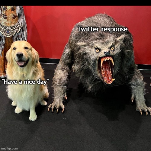 Twitter will Twitter | Twitter response; "Have a nice day" | image tagged in twitter,joe rogan | made w/ Imgflip meme maker