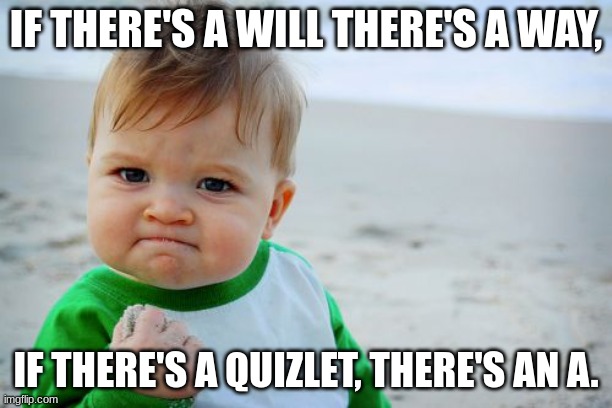 Your Quote Of The Day. :) | IF THERE'S A WILL THERE'S A WAY, IF THERE'S A QUIZLET, THERE'S AN A. | image tagged in memes,success kid original | made w/ Imgflip meme maker