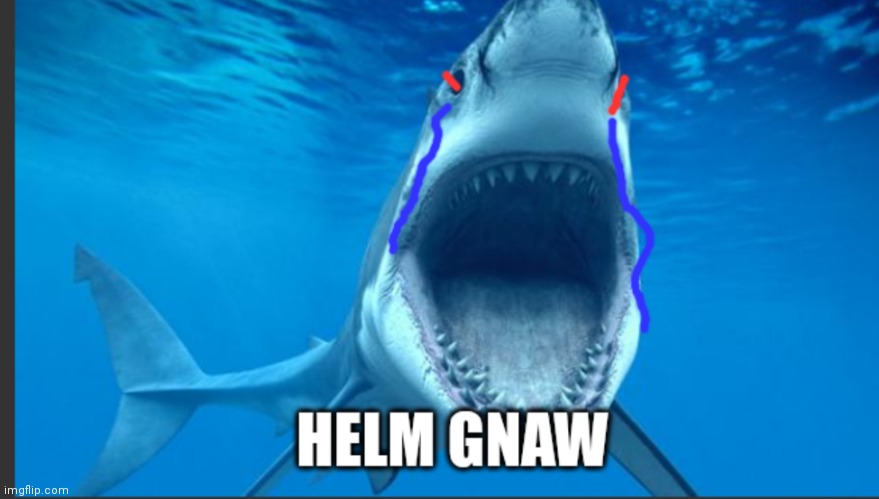Bruce says Helm Gnaw | image tagged in bruce says helm gnaw | made w/ Imgflip meme maker