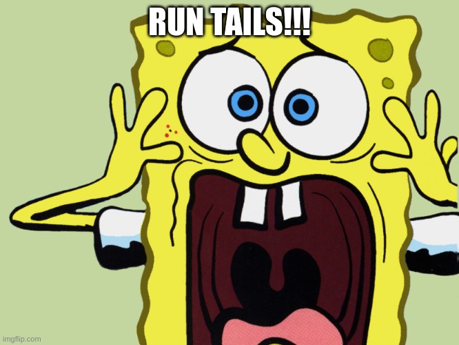 Screaming Spongebob  | RUN TAILS!!! | image tagged in screaming spongebob | made w/ Imgflip meme maker