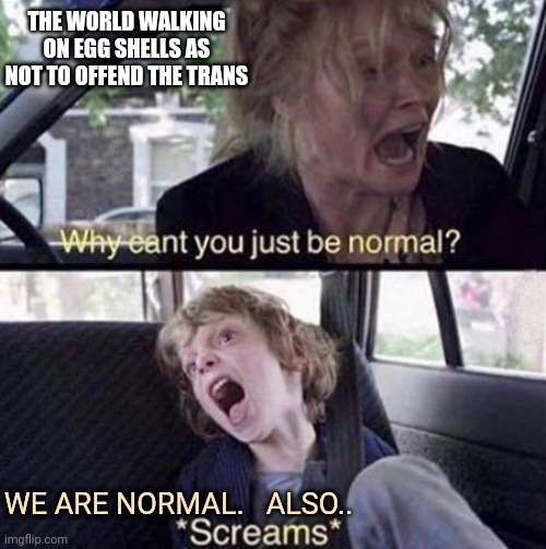 Why Can't You Just Be Normal |  THE WORLD WALKING ON EGG SHELLS AS NOT TO OFFEND THE TRANS; WE ARE NORMAL.   ALSO.. | image tagged in why can't you just be normal | made w/ Imgflip meme maker