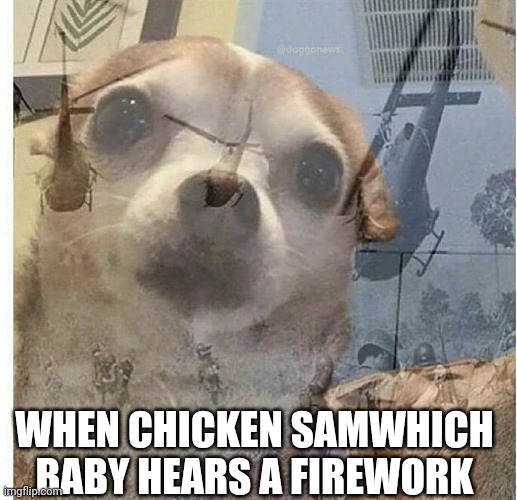 Fun | WHEN CHICKEN SAMWHICH BABY HEARS A FIREWORK | image tagged in ptsd chihuahua | made w/ Imgflip meme maker