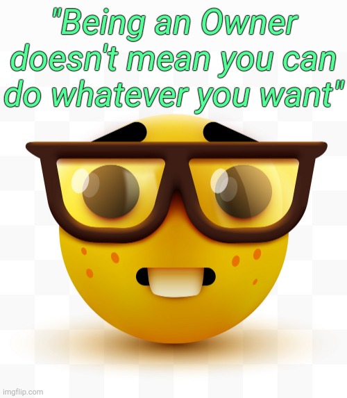 . | "Being an Owner doesn't mean you can do whatever you want" | image tagged in nerd emoji | made w/ Imgflip meme maker