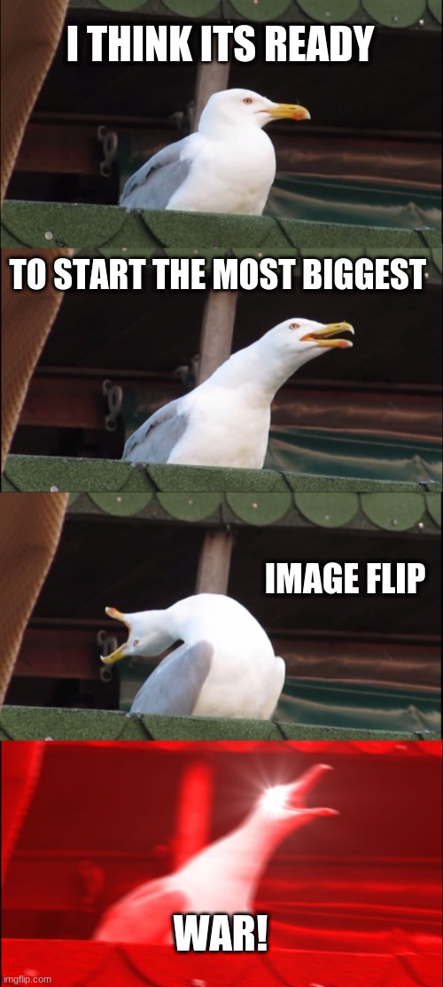 its time we face for real make me comment again so we can fight | I THINK ITS READY; TO START THE MOST BIGGEST; IMAGE FLIP; WAR! | image tagged in memes,inhaling seagull | made w/ Imgflip meme maker