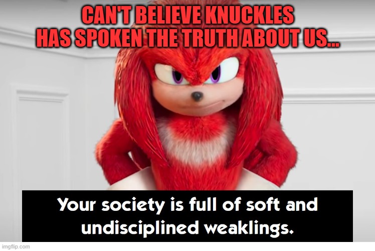 Except he likes the grapes though. | CAN'T BELIEVE KNUCKLES HAS SPOKEN THE TRUTH ABOUT US... | image tagged in your society is full of soft and undisciplined weaklings,knuckles,sonic the hedgehog,sonic movie,true story | made w/ Imgflip meme maker