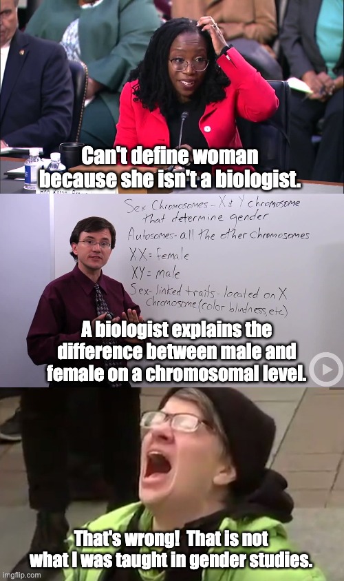 But we're told to follow the science | Can't define woman because she isn't a biologist. A biologist explains the difference between male and female on a chromosomal level. That's wrong!  That is not what I was taught in gender studies. | image tagged in screaming liberal | made w/ Imgflip meme maker