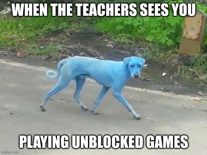 Are You Winnin' son | WHEN THE TEACHERS SEES YOU; PLAYING UNBLOCKED GAMES | image tagged in i didn't see anything | made w/ Imgflip meme maker