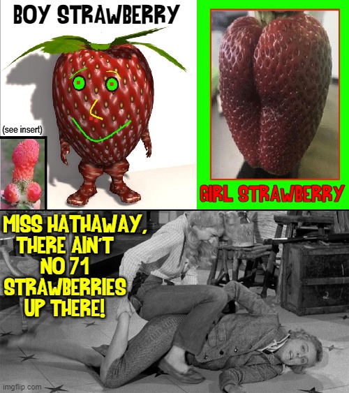 Ellie Mae Agricultural Gender Studies 101 | BOY STRAWBERRY; (see insert); THERE AIN'T
NO 71
STRAWBERRIES
UP THERE! GIRL STRAWBERRY; MISS HATHAWAY, | image tagged in vince vance,strawberries,strawberry,gender studies,ellie mae clampett,beverly hillbillies | made w/ Imgflip meme maker