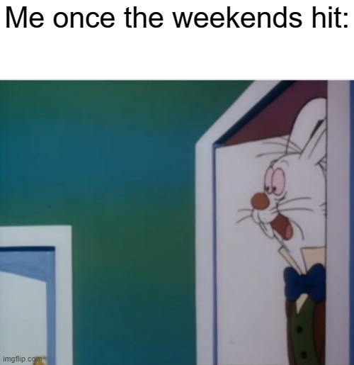 Its the greatest time of the week | Me once the weekends hit: | image tagged in white rabbit hype | made w/ Imgflip meme maker