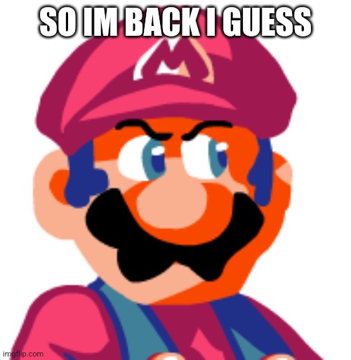 Mario Ugh | SO IM BACK I GUESS | image tagged in mario ugh | made w/ Imgflip meme maker