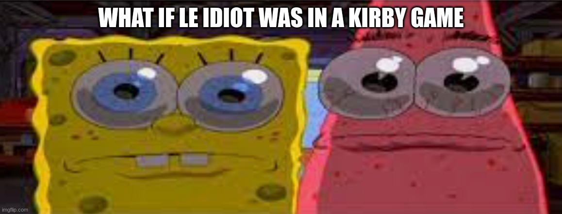 sobgih ans patbur | WHAT IF LE IDIOT WAS IN A KIRBY GAME | image tagged in sobgih ans patbur | made w/ Imgflip meme maker