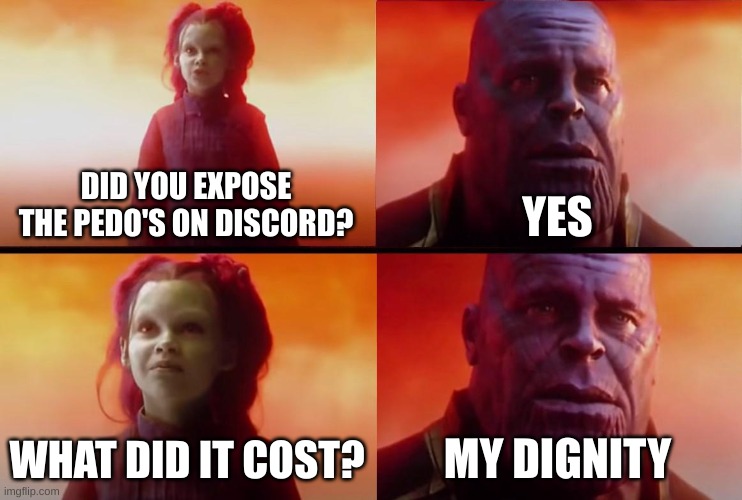 haha inside joke go brrrr | DID YOU EXPOSE THE PEDO'S ON DISCORD? YES; WHAT DID IT COST? MY DIGNITY | image tagged in thanos what did it cost | made w/ Imgflip meme maker