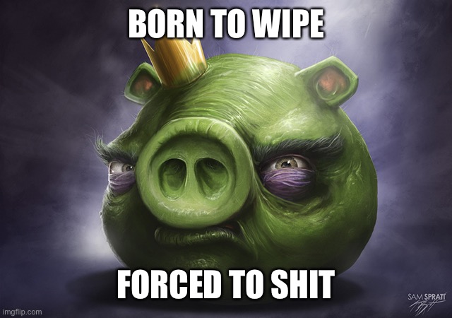 this is so blursed | BORN TO WIPE; FORCED TO SHIT | image tagged in shitpost status | made w/ Imgflip meme maker