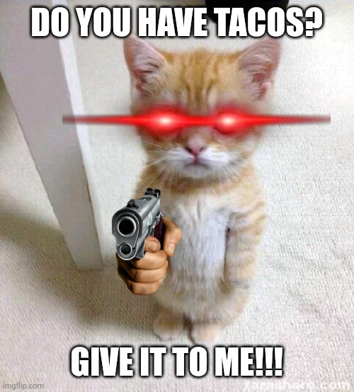 Cute Cat | DO YOU HAVE TACOS? GIVE IT TO ME!!! | image tagged in memes,cute cat | made w/ Imgflip meme maker