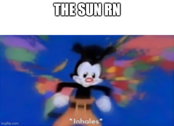 Yakko inhale | THE SUN RN | image tagged in yakko inhale | made w/ Imgflip meme maker