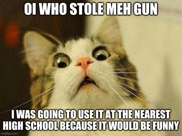Americans be like | OI WHO STOLE MEH GUN; I WAS GOING TO USE IT AT THE NEAREST HIGH SCHOOL BECAUSE IT WOULD BE FUNNY | image tagged in memes,scared cat,funny memes | made w/ Imgflip meme maker