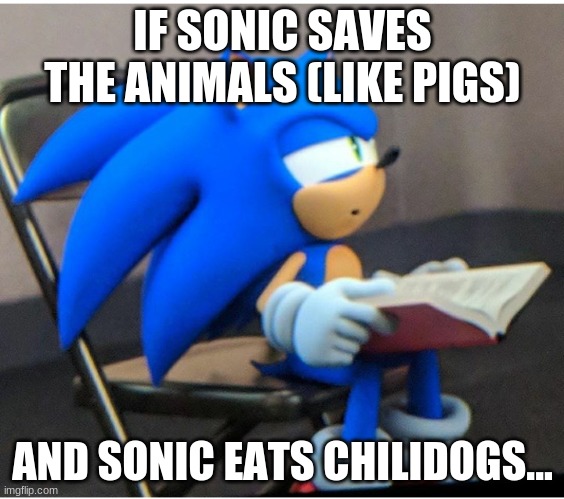 ...And chilidogs are made of chili and hot dog and a bun. And hot dogs are made from pig | IF SONIC SAVES THE ANIMALS (LIKE PIGS); AND SONIC EATS CHILIDOGS... | image tagged in sonic,chilidogs | made w/ Imgflip meme maker