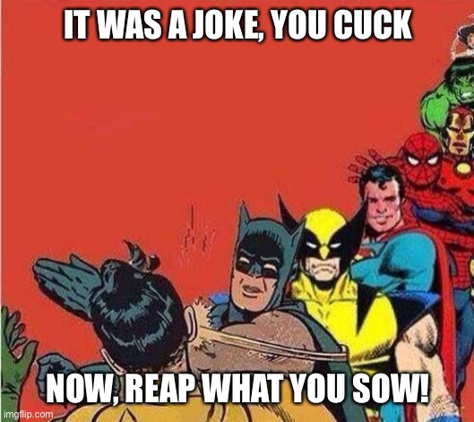 Reap what you sow | IT WAS A JOKE, YOU CUCK; NOW, REAP WHAT YOU SOW! | image tagged in batman slapping robin with superheroes lined up | made w/ Imgflip meme maker