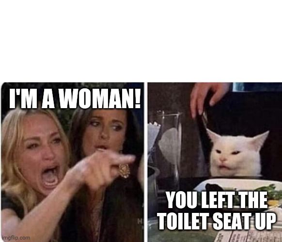 Angry Woman and Cat | I'M A WOMAN! YOU LEFT THE TOILET SEAT UP | image tagged in angry woman and cat | made w/ Imgflip meme maker