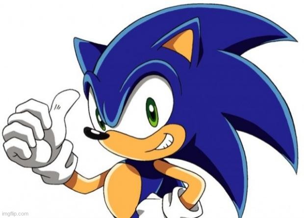 Sonic The Hedgehog Approves | image tagged in sonic the hedgehog approves | made w/ Imgflip meme maker