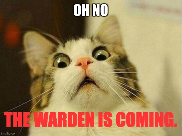 Not the warden | OH NO; THE WARDEN IS COMING. | image tagged in memes,scared cat | made w/ Imgflip meme maker