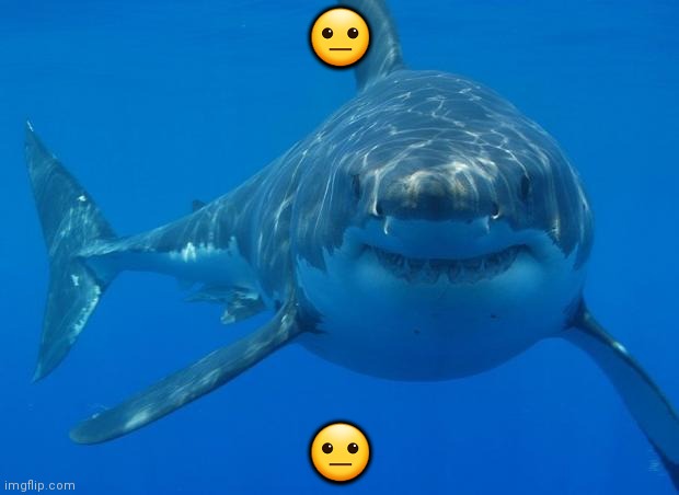 Straight White Shark | ? ? | image tagged in straight white shark | made w/ Imgflip meme maker