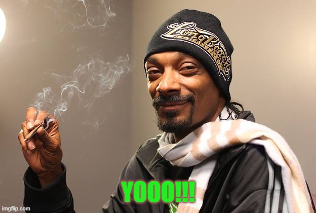 Snoop Dogg | YOOO!!! | image tagged in snoop dogg | made w/ Imgflip meme maker