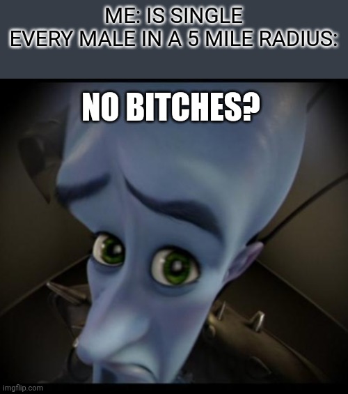 Seriouslg tho | ME: IS SINGLE
EVERY MALE IN A 5 MILE RADIUS:; NO BITCHES? | image tagged in no bitches,megamind | made w/ Imgflip meme maker