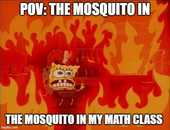 Burning Spongebob | POV: THE MOSQUITO IN; THE MOSQUITO IN MY MATH CLASS | image tagged in burning spongebob | made w/ Imgflip meme maker