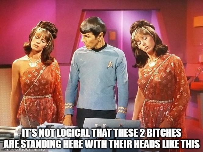 Spock Perplexed |  IT'S NOT LOGICAL THAT THESE 2 BITCHES ARE STANDING HERE WITH THEIR HEADS LIKE THIS | image tagged in spock and the two alices | made w/ Imgflip meme maker
