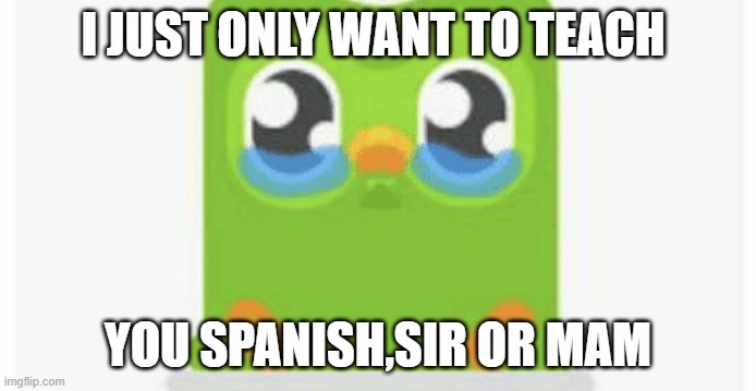 I JUST ONLY WANT TO TEACH YOU SPANISH,SIR OR MAM | made w/ Imgflip meme maker