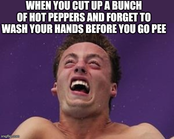 SPEAKING FROM EXPERIENCE | WHEN YOU CUT UP A BUNCH OF HOT PEPPERS AND FORGET TO WASH YOUR HANDS BEFORE YOU GO PEE | image tagged in man in pain,ghost peppers,peppers,fail | made w/ Imgflip meme maker